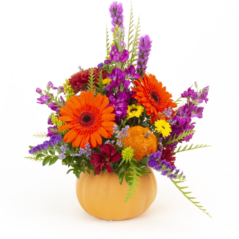 Pumpkin Arrangement - Item # 44551 - Dave's Gift Baskets